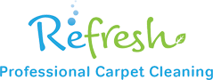 Carpet Cleaner Lancaster