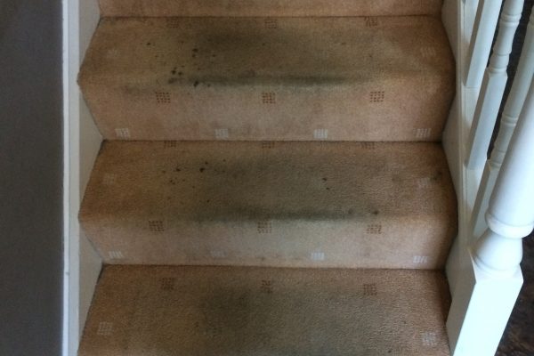 Dirty stairs Morecambe before cleaning